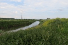 3.-Upstream-from-Westport-Canal-2