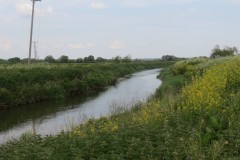 3.-Upstream-from-Westport-Canal-3
