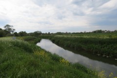 3.-Upstream-from-Westport-Canal-4