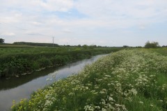 3.-Upstream-from-Westport-Canal-5