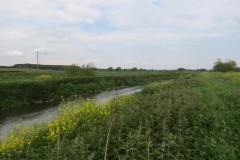 3.-Upstream-from-Westport-Canal-6
