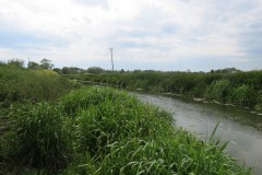 3.-Upstream-from-Westport-Canal-7