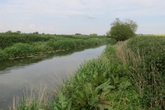 3.-Upstream-from-Westport-Canal-8