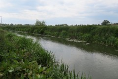 3.-Upstream-from-Westport-Canal-9