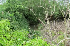 5.-Looking-downstream-from-Slabgate-inlet