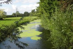 20.-Looking-upstream-from-Yarrow-Farm-Bridge