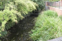 75.-Looking-Downstream-from-Jocelyn-Drive-Bridge