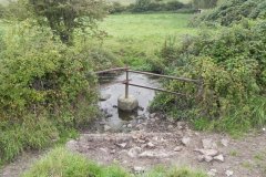 78.-Cattle-Watering-Hole-downstream-from-Keward-House