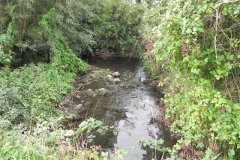 86.-Looking-Downstream-from-Keward-Park-Bridge