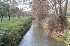 12.-Downstream-from-Church-Moor-farm