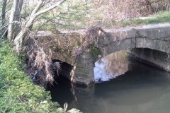 3.-Dowling-Lane-Bridge-Upstream-Arch