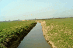 32.-Upstream-From-West-Town-Accommodation-Bridge