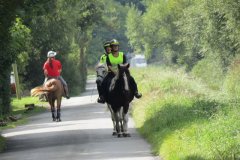 Horse-Riders-by-Riverside-2