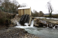 Beasly Weir River Barle February 2016 (10)