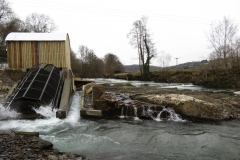 Beasly Weir River Barle February 2016 (11)