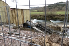 Beasly Weir River Barle February 2016 (14)