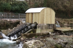 Beasly Weir River Barle February 2016 (2)