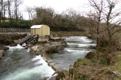 Beasly Weir River Barle February 2016 (3)