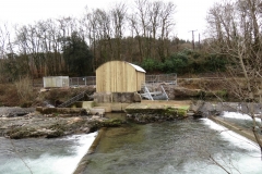 Beasly Weir River Barle February 2016 (4)