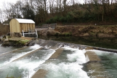 Beasly Weir River Barle February 2016 (5)