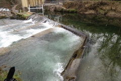 Beasly Weir River Barle February 2016 (6)
