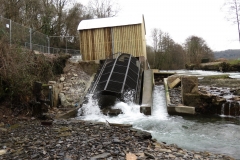 Beasly Weir River Barle February 2016 (9)