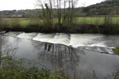 4. Beasley Mill weir and Salmon Ladder