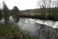 6. Beasley Mill weir and Salmon Ladder