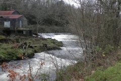 8. Beasley Mill weir from East bank