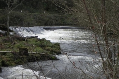 9. Beasley Mill weir from East bank