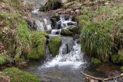 3. Upstream from River Avill