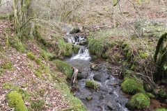 4. Upstream from River Avill