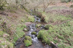 5. Upstream from River Avill