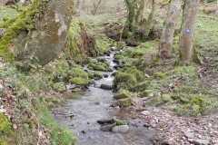 7. Upstream from River Avill
