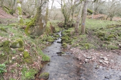8. Upstream from River Avill
