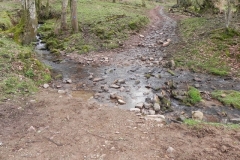9. Upstream from River Avill