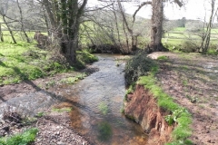 32. Upstream from Holnicote House Footbridge