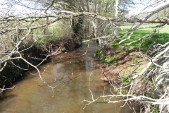 37. Looking downstream from Holnicote House Footbridge