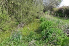 53. Piles Mill Leat