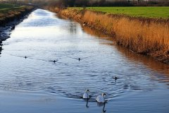 From-bridge-on-Manmoor-lane.