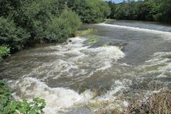 15.-Bolham-Weir-6
