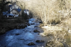 13. Looking downstream from Rockford Bridge