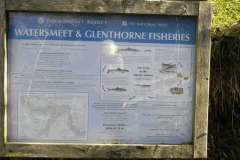 14. Salmon fishing notice at Rockford