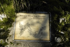15. National Trust Wilsham Wood Notice at Rockford