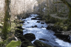 19. Downstream from Rockford