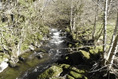 2. Looking upstream from Alderford Bridge