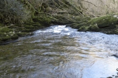21. Downstream from Rockford