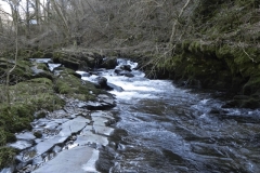 22. Downstream from Rockford