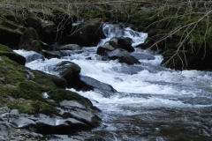 23. Downstream from Rockford