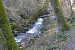 24. Through Long Pool Wood